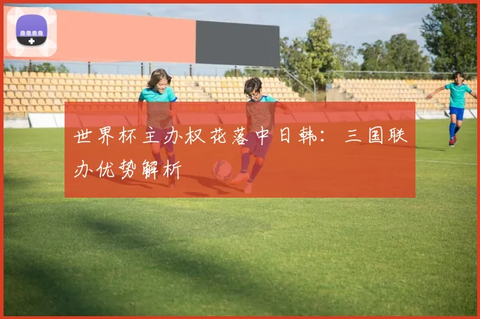 世界杯主办权花落中日韩：三国联办优势解析